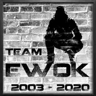 EwOk logo